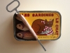 sardines