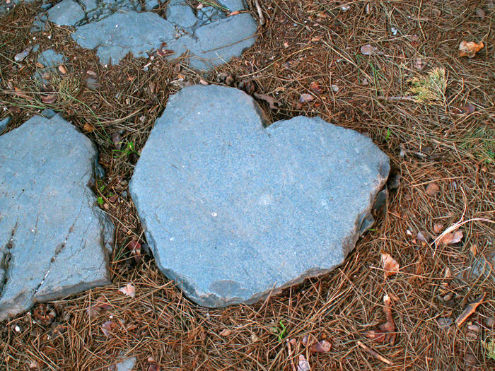 L&rsquo;AMOUR DE LA NATURE