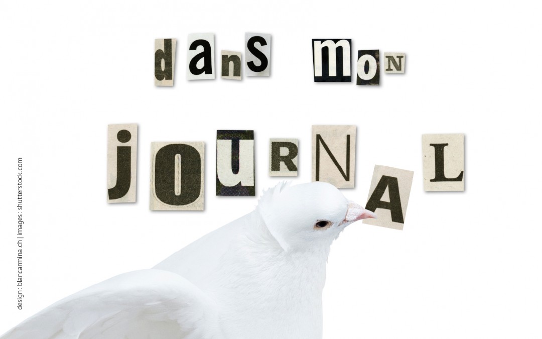 COLOMBE OU CORBEAU?